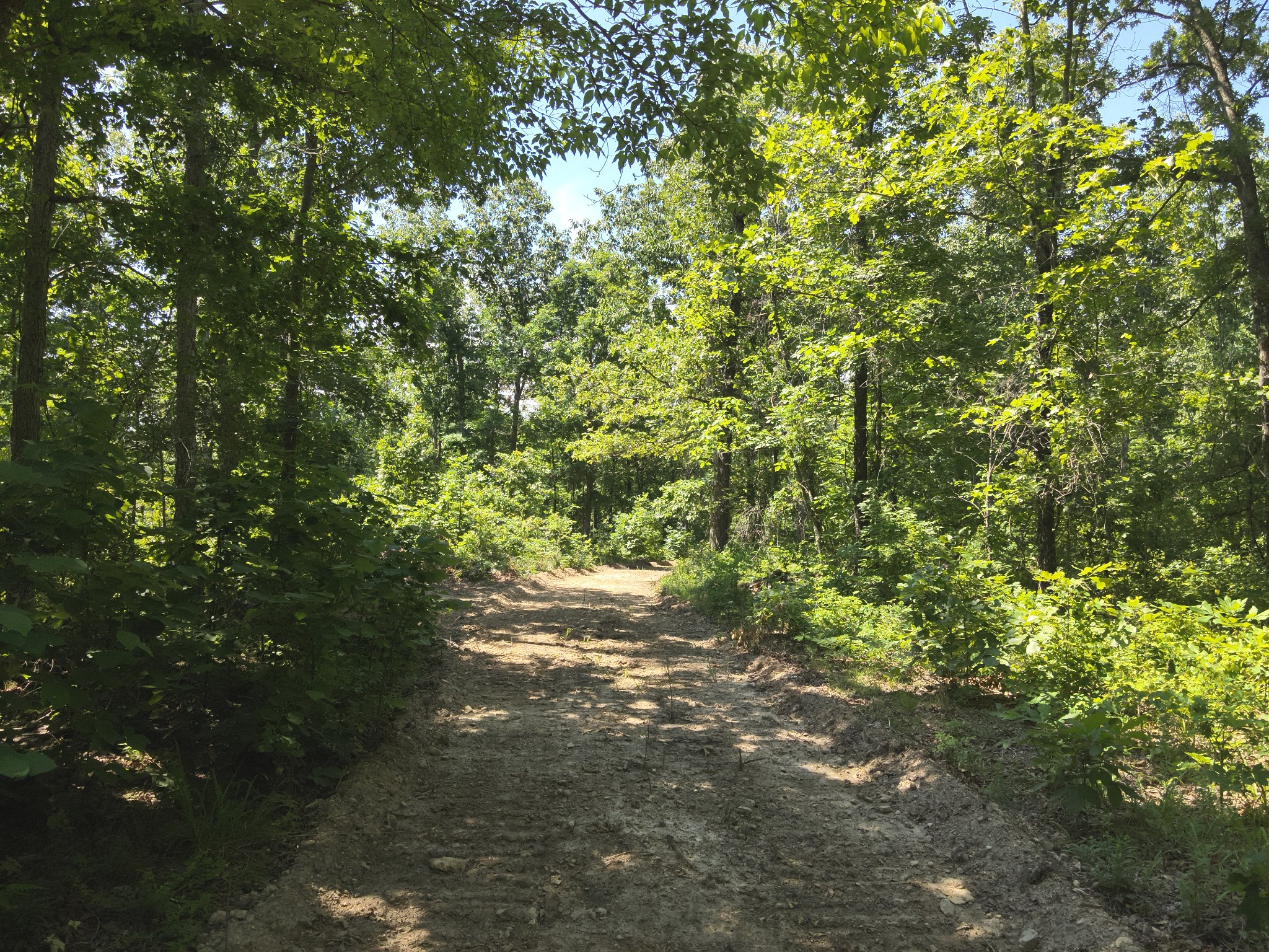 0 Bear Creek Road Waverly TN 37185