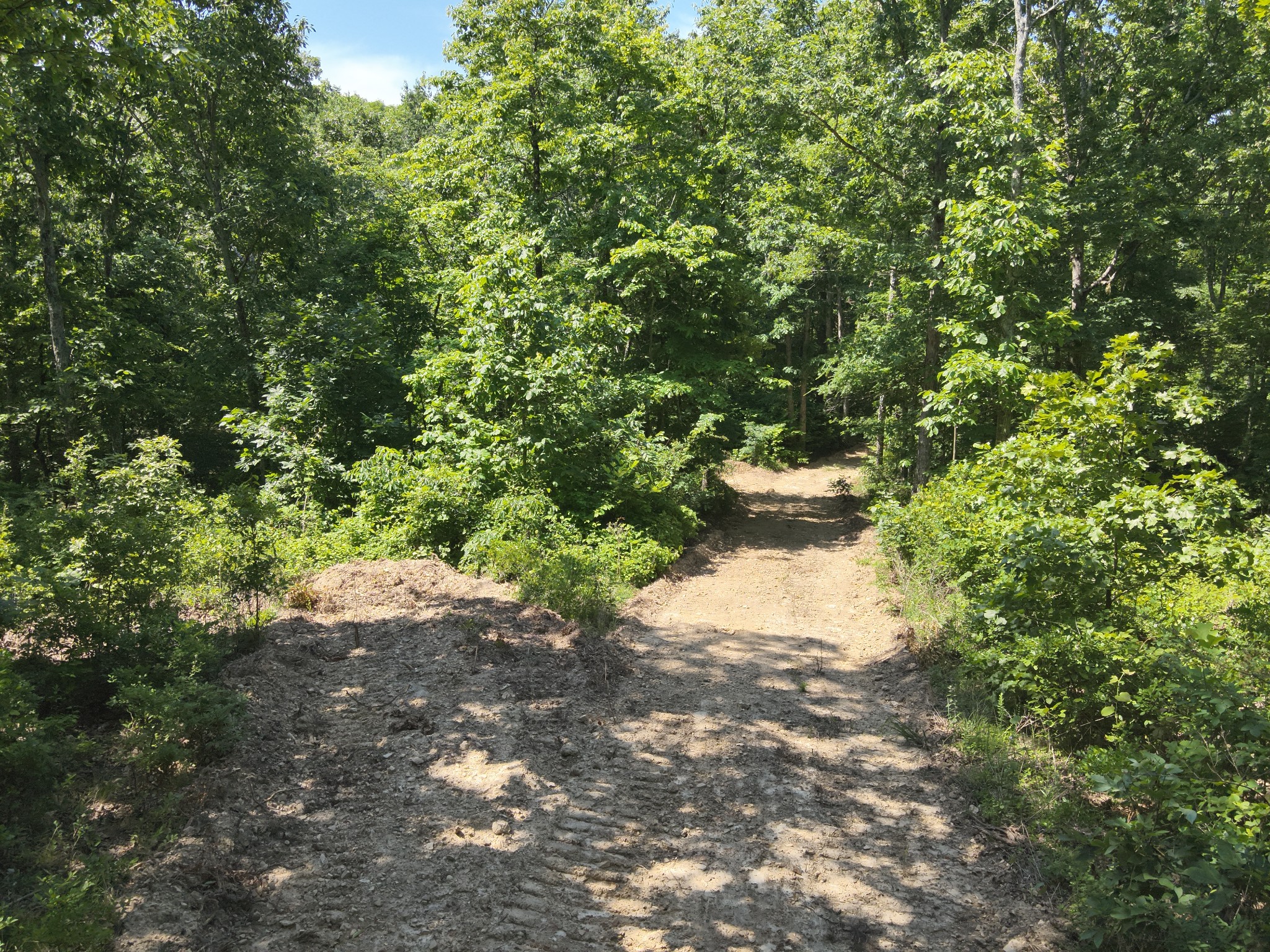 0 Bear Creek Road Waverly TN 37185