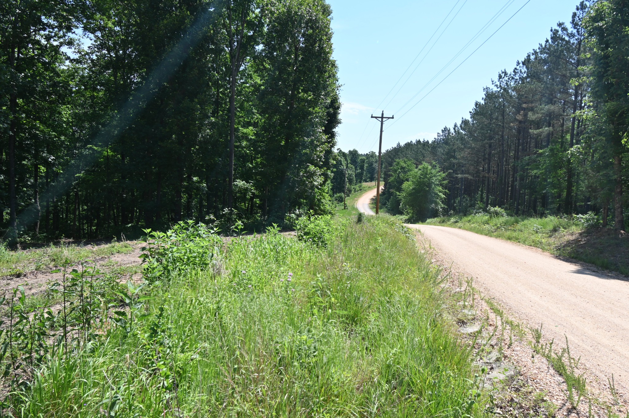 0 Bear Creek Road Waverly TN 37185