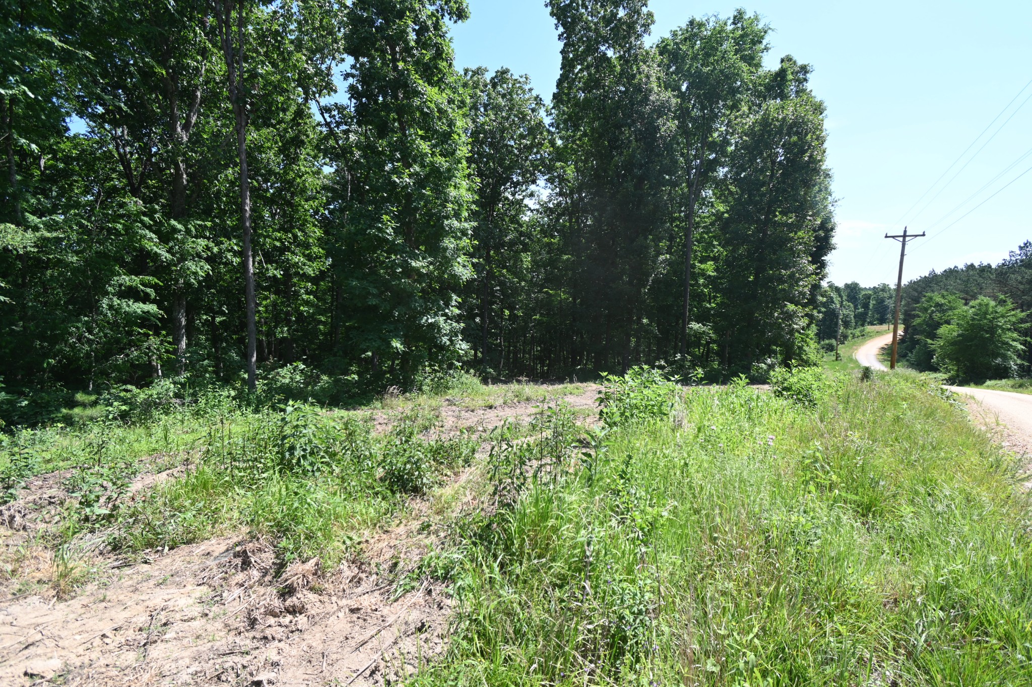 0 Bear Creek Road Waverly TN 37185
