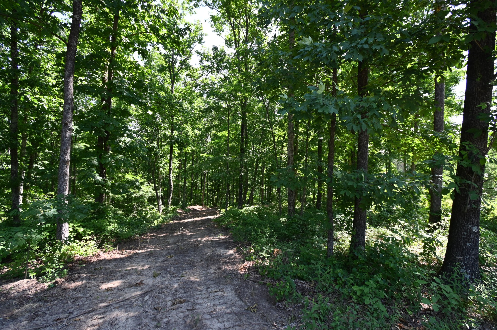 0 Bear Creek Road Waverly TN 37185