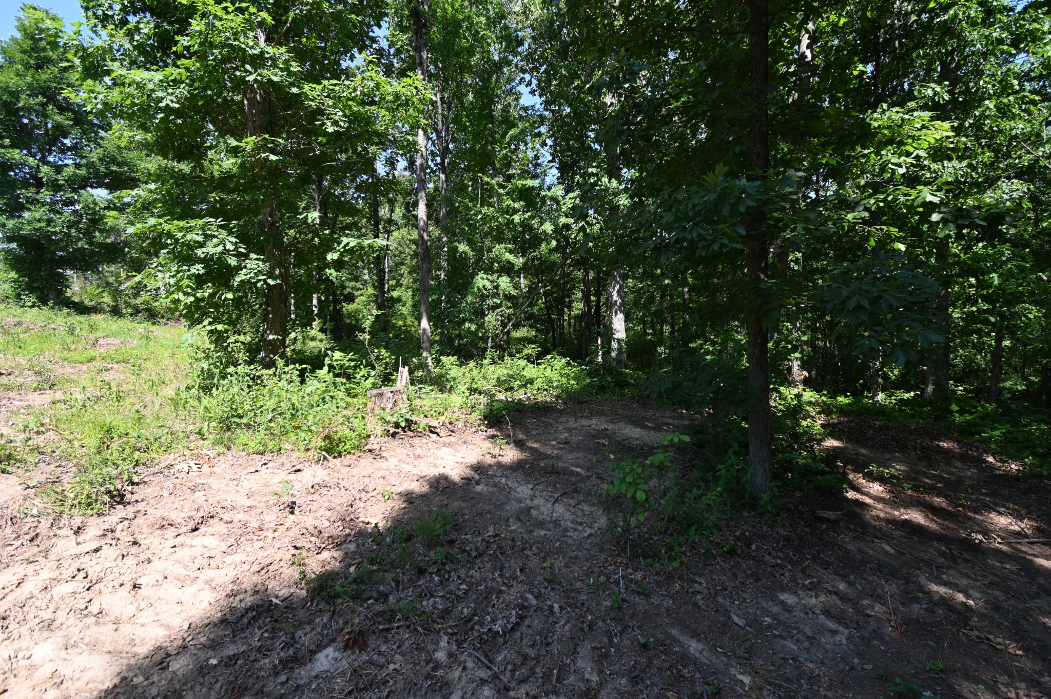0 Bear Creek Road Waverly TN 37185