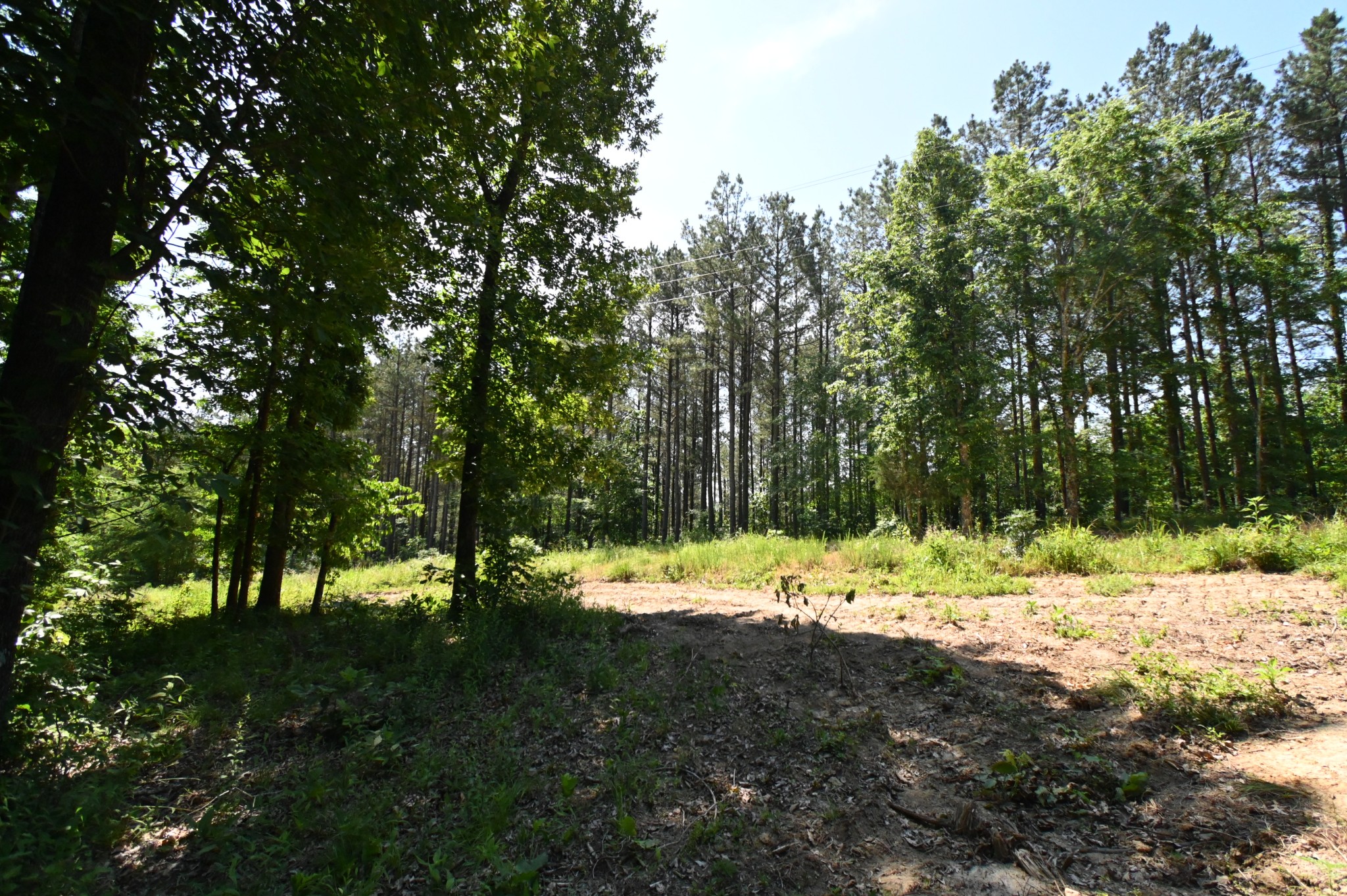 0 Bear Creek Road Waverly TN 37185