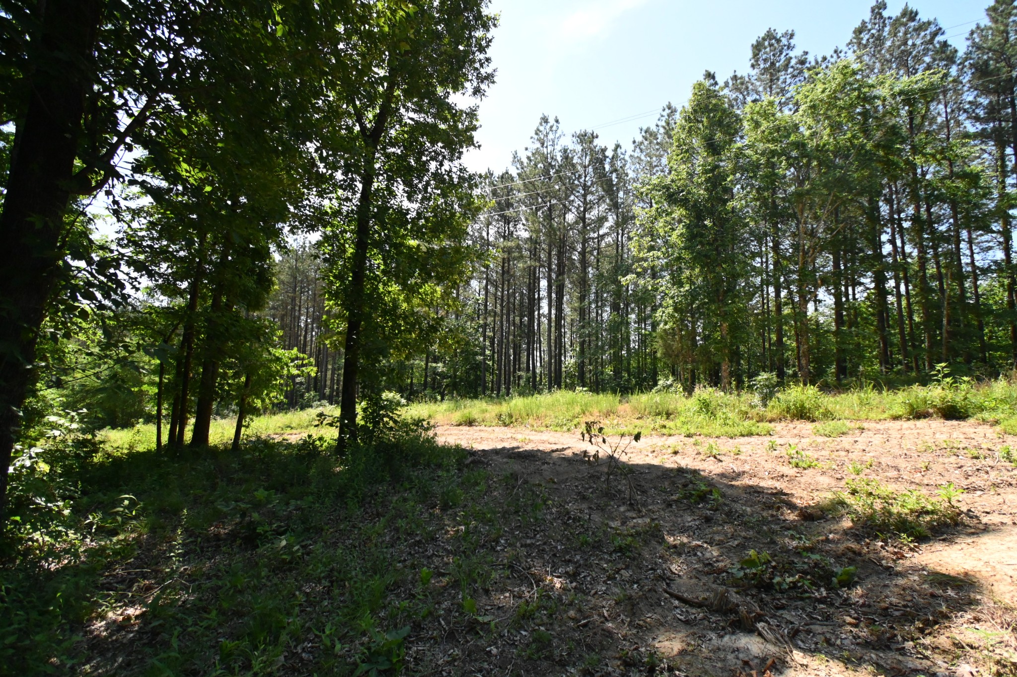 0 Bear Creek Road Waverly TN 37185