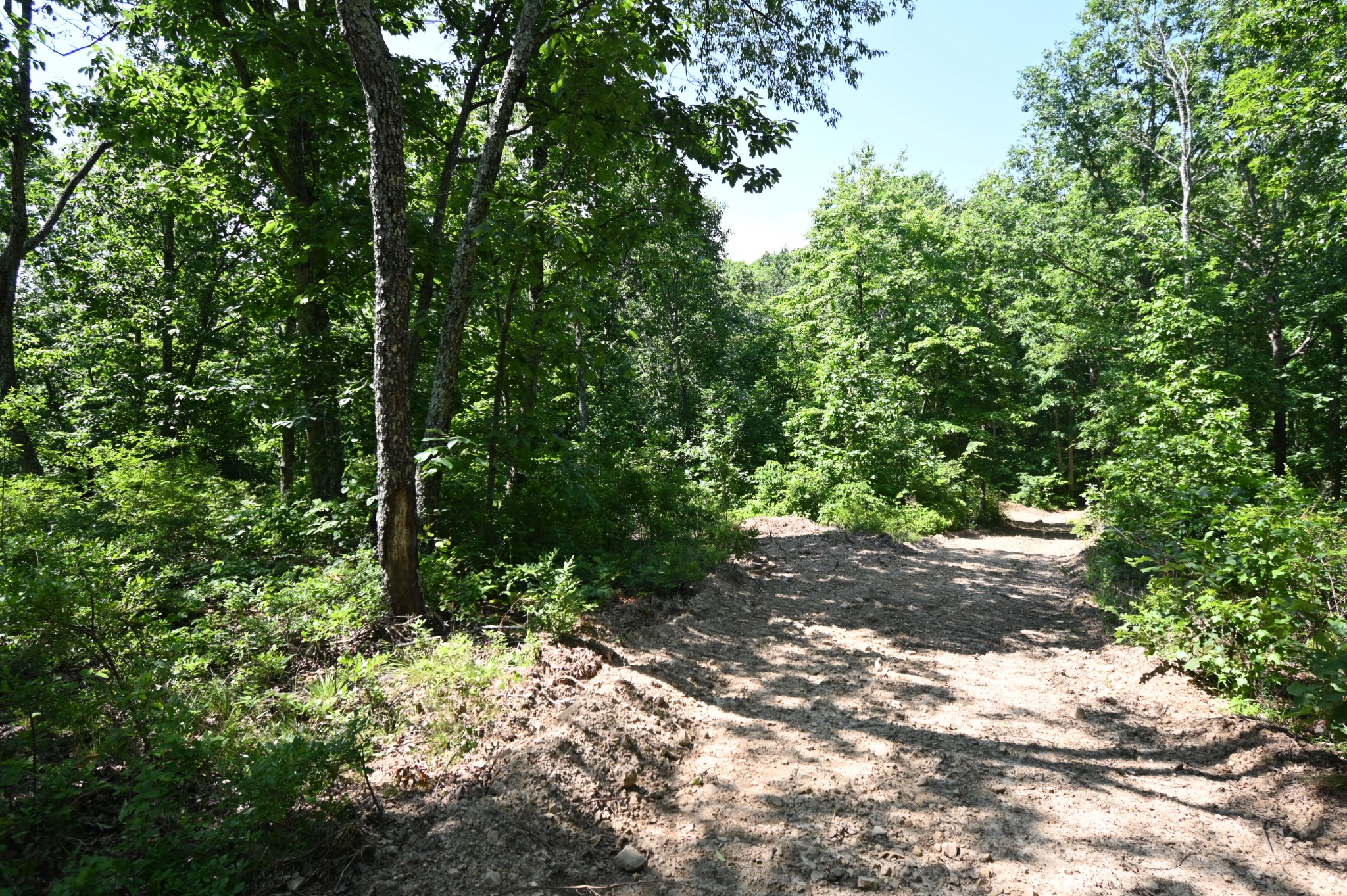 0 Bear Creek Road Waverly TN 37185