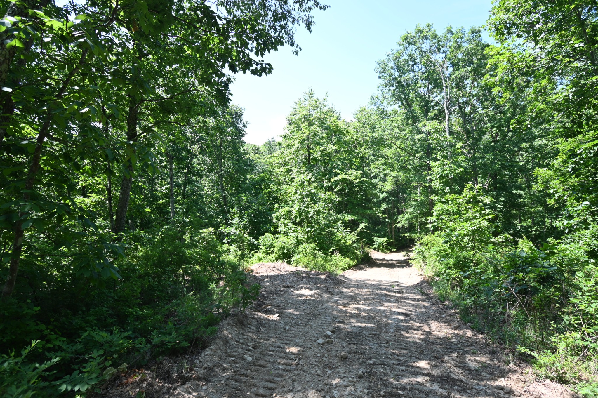 0 Bear Creek Road Waverly TN 37185