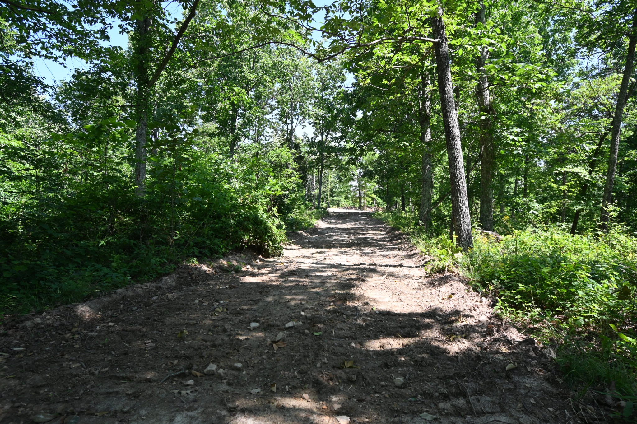 0 Bear Creek Road Waverly TN 37185
