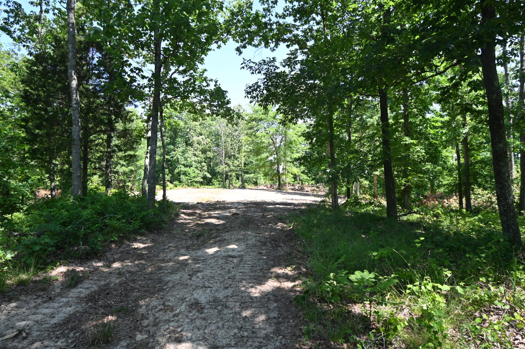 0 Bear Creek Road Waverly TN 37185