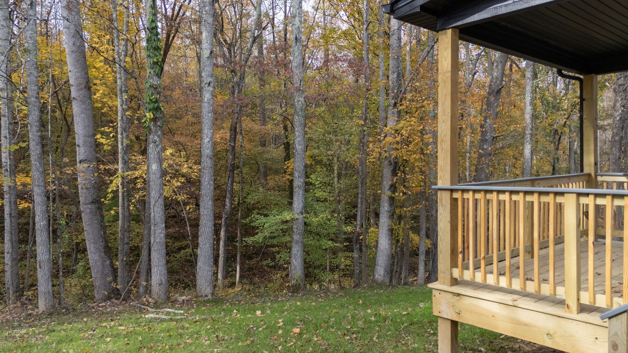 1236 Rooster Ridge Road Pleasant View TN 37146