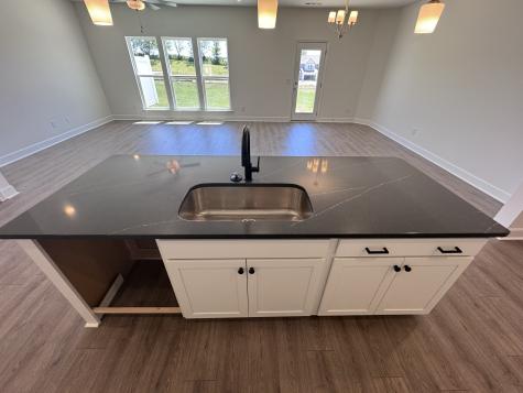 1095 June Wilde Ridge Spring Hill TN 37174