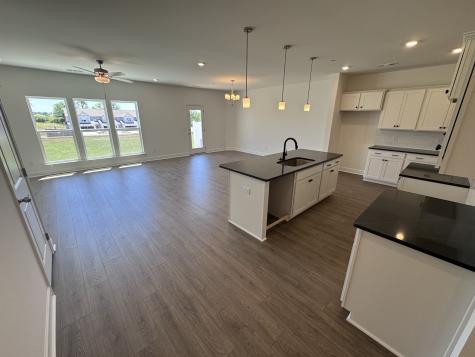 1095 June Wilde Ridge Spring Hill TN 37174