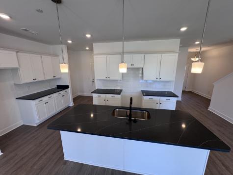 1095 June Wilde Ridge Spring Hill TN 37174