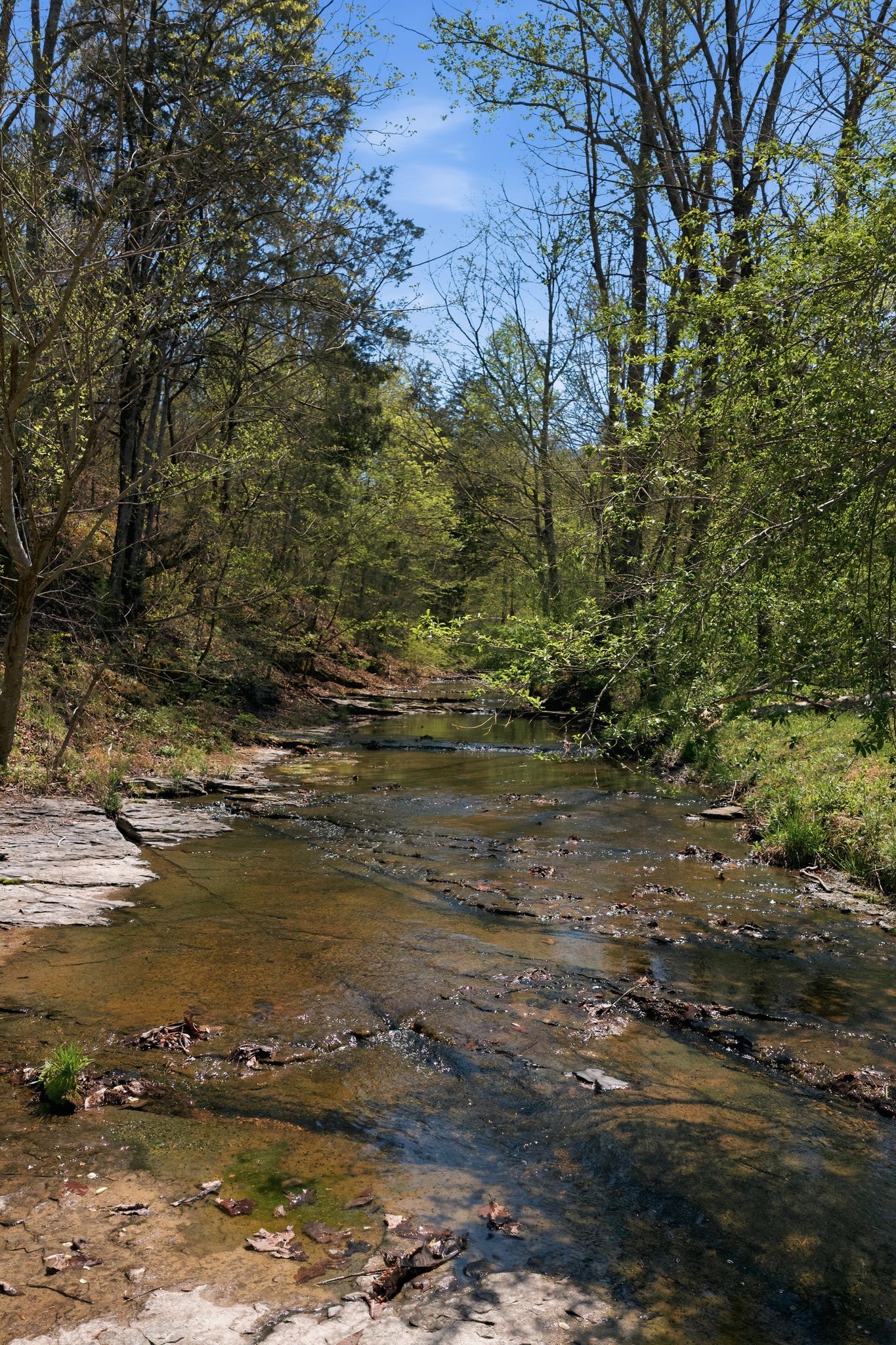 1075 Garland Hollow Road Pegram TN 37143