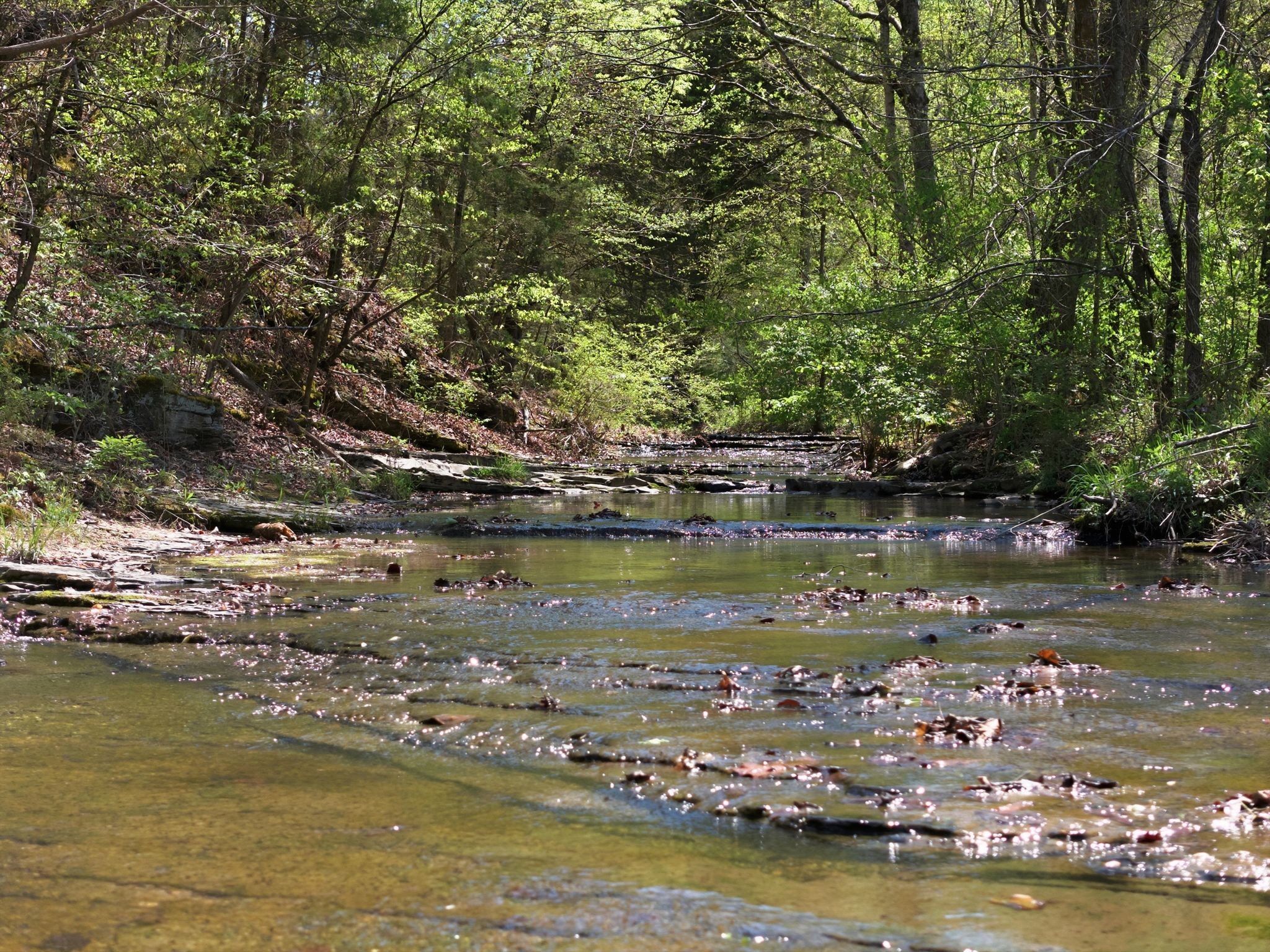 1075 Garland Hollow Road Pegram TN 37143