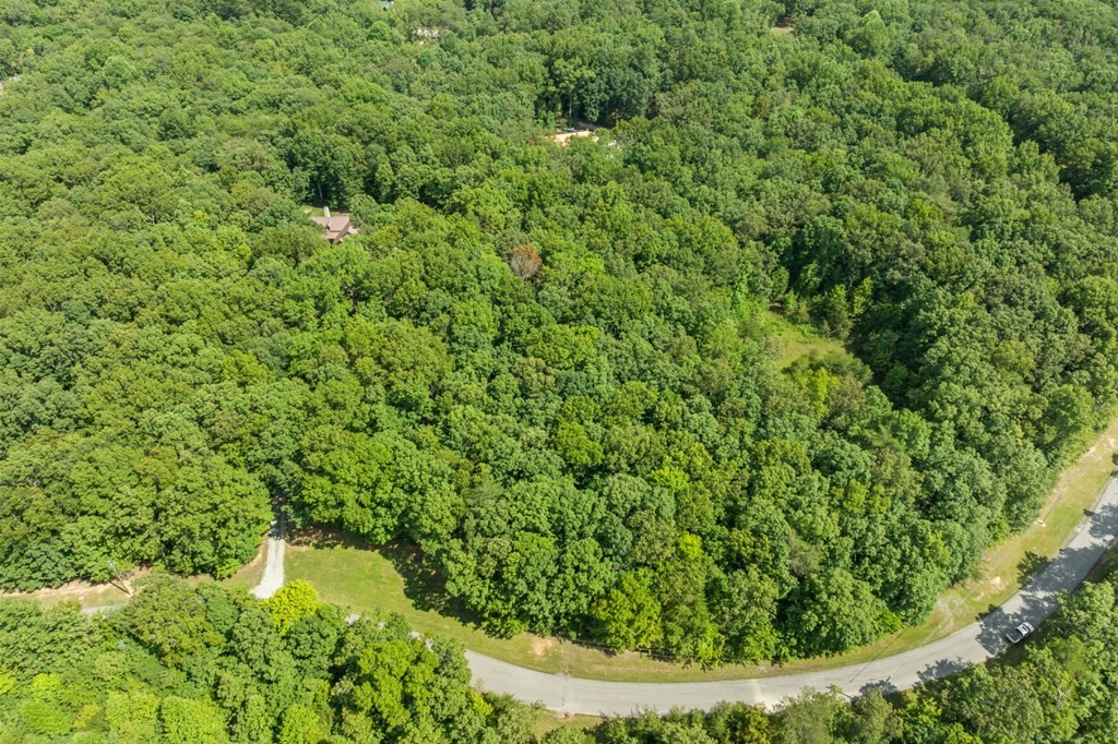 0 Hawks Bluff Road Spencer TN 38585