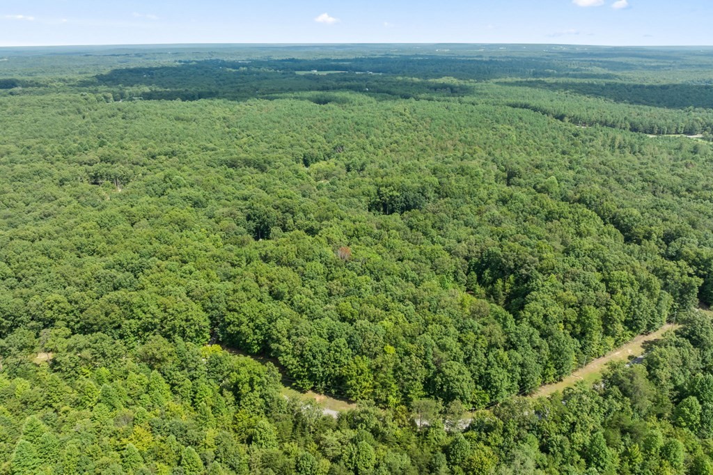 0 Hawks Bluff Road Spencer TN 38585