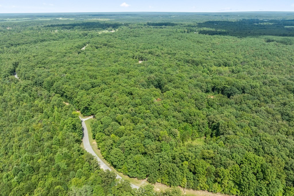 0 Hawks Bluff Road Spencer TN 38585