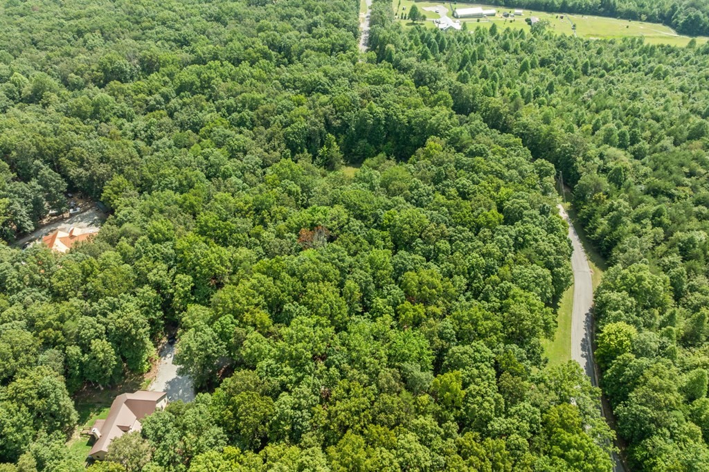 0 Hawks Bluff Road Spencer TN 38585