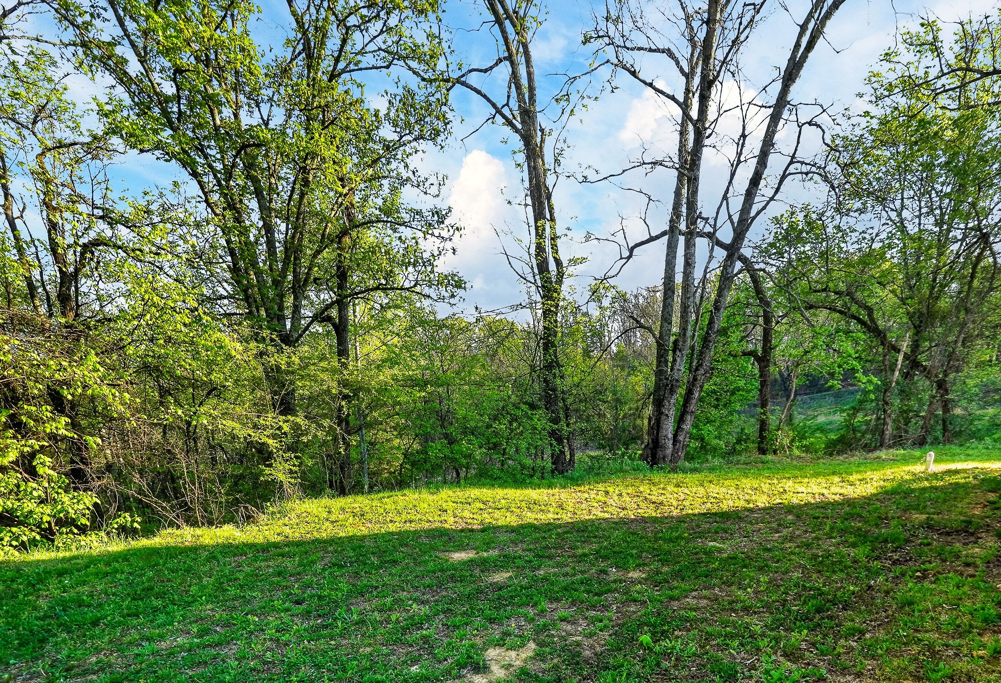 3820 Jefferson Road Smithville TN 37166