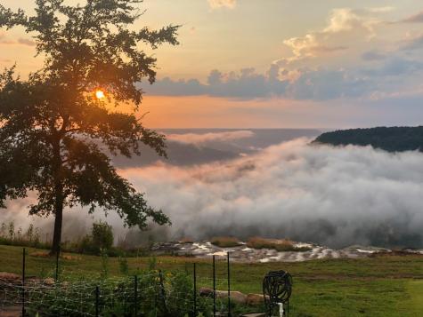 985 Sunset Circle Jasper TN 37347