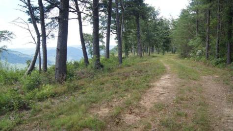 985 Sunset Circle Jasper TN 37347
