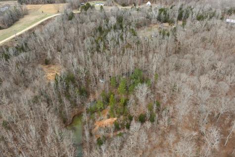 0 Tracy Lane Duck River TN 38454