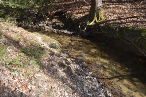 305 Timberwood Trace Monteagle TN 37356