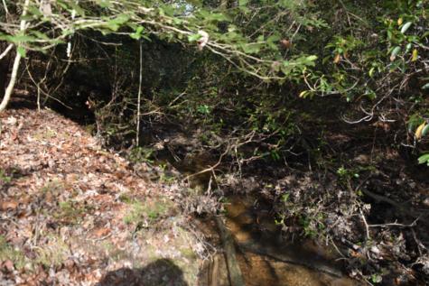 305 Timberwood Trace Monteagle TN 37356