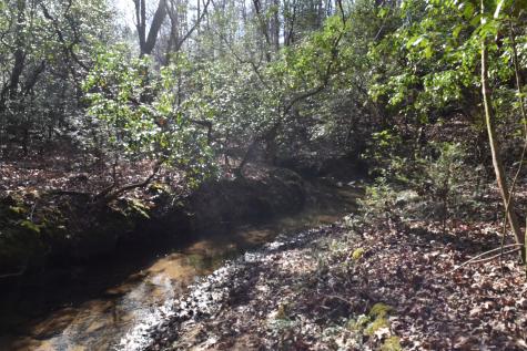 305 Timberwood Trace Monteagle TN 37356