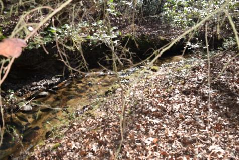 305 Timberwood Trace Monteagle TN 37356