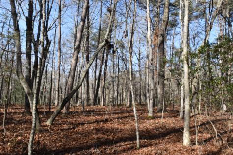 305 Timberwood Trace Monteagle TN 37356