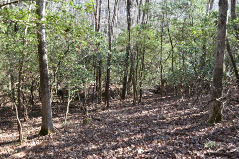 305 Timberwood Trace Monteagle TN 37356