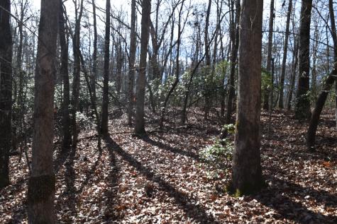 305 Timberwood Trace Monteagle TN 37356