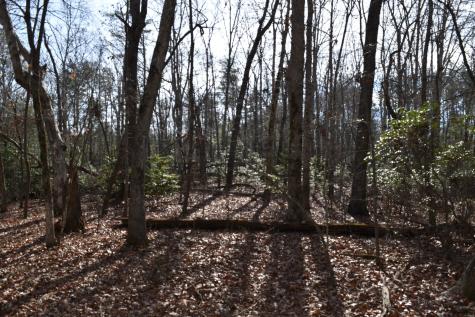 305 Timberwood Trace Monteagle TN 37356