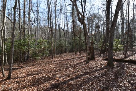 305 Timberwood Trace Monteagle TN 37356