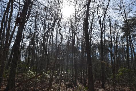 305 Timberwood Trace Monteagle TN 37356