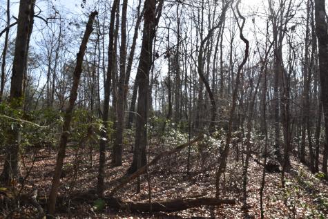 305 Timberwood Trace Monteagle TN 37356