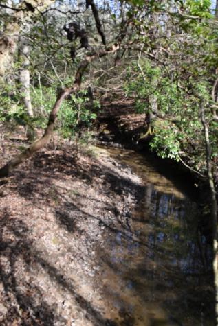 305 Timberwood Trace Monteagle TN 37356