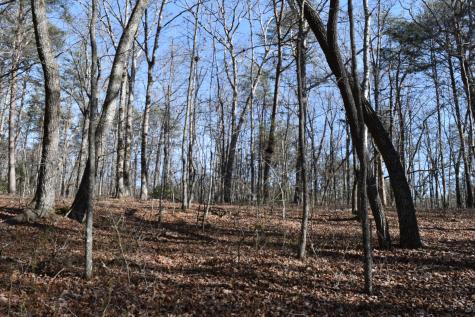 305 Timberwood Trace Monteagle TN 37356