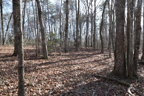 305 Timberwood Trace Monteagle TN 37356