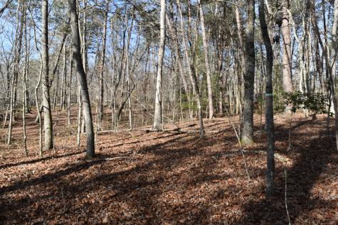 305 Timberwood Trace Monteagle TN 37356