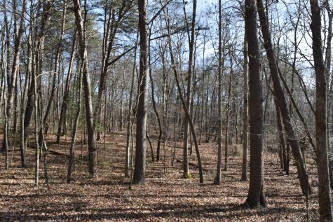 305 Timberwood Trace Monteagle TN 37356