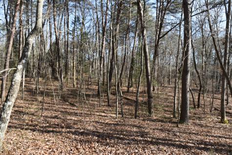 305 Timberwood Trace Monteagle TN 37356