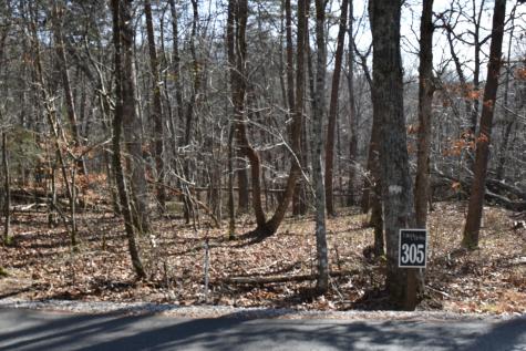 305 Timberwood Trace Monteagle TN 37356