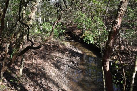 305 Timberwood Trace Monteagle TN 37356