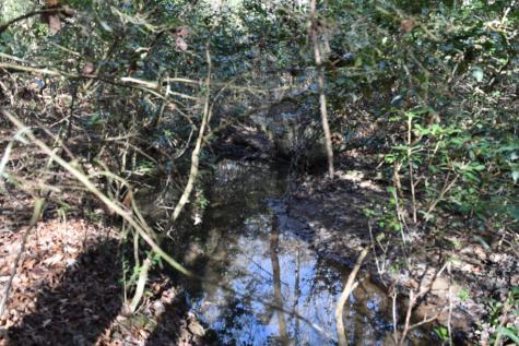 305 Timberwood Trace Monteagle TN 37356