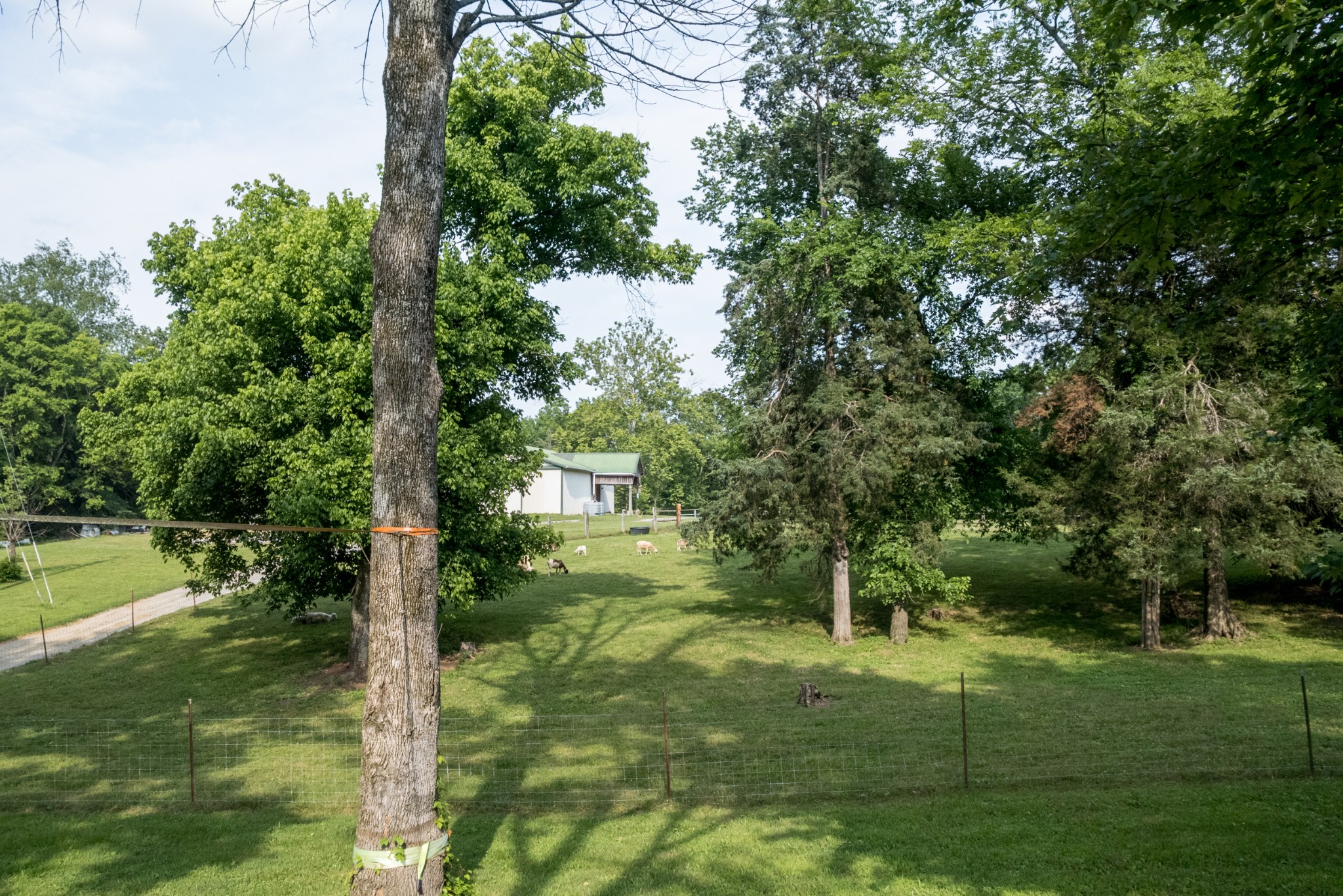 2300 Lee Road Spring Hill TN 37174