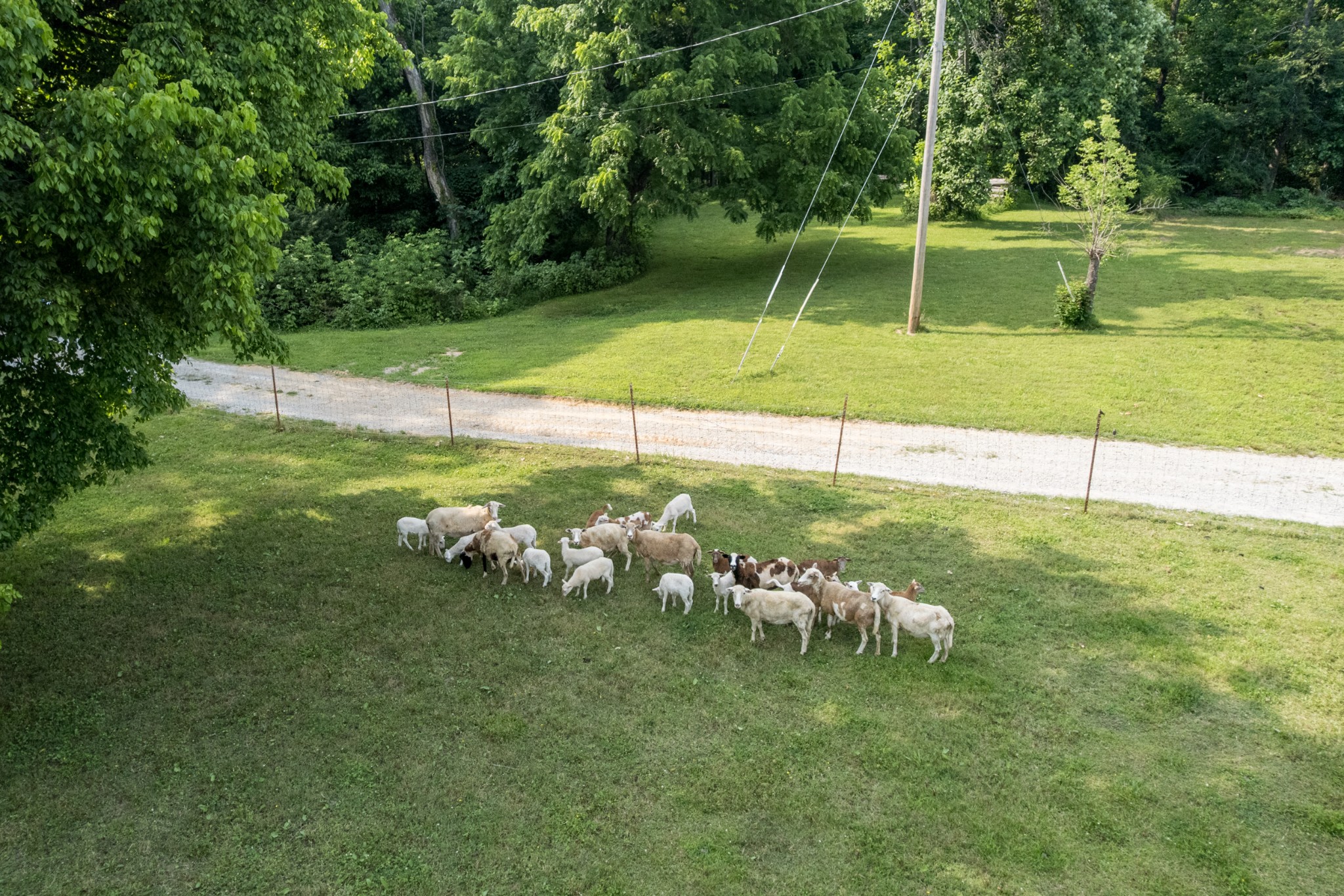 2300 Lee Road Spring Hill TN 37174