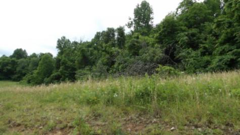 0 Livingston Highway Byrdstown TN 38549