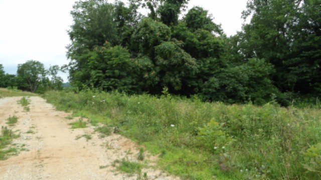 0 Livingston Highway Byrdstown TN 38549